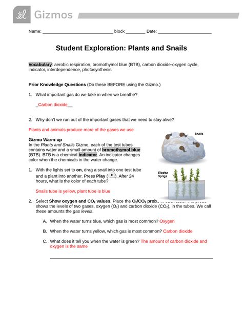 Plant and snail gizmo answers - Because as times goes on the atmosphere and plants produce more of the gases we need to stay alive Gizmo Warm-up In the Plants and Snails Gizmo™, each of the test tubes contains water and a small amount of bromthymol blue (BTB). BTB is a chemical indicator. An indicator changes color when the chemicals in the water change. 1. 